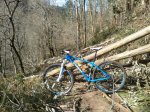 IMG_20140219_125031.jpg