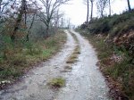 P2090218 copia.jpg