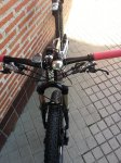bici pollo 005.jpg