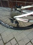 bici pollo 003.jpg