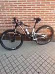 bici pollo 004.jpg