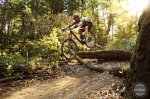 BMC_TrailFox_BLstepdown.jpg