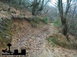 100_6281.JPG