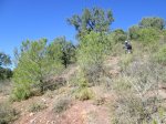 IMG_4659.JPG