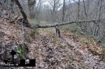 DSC_0060.JPG