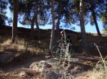 DSC00795-001.JPG