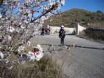 DSC00813-001.JPG