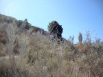 DSC00827.JPG
