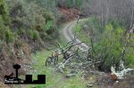DSC_0028.JPG