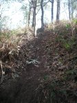 PICT0023.JPG