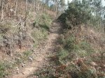 PICT0038.JPG