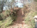 PICT0040.JPG