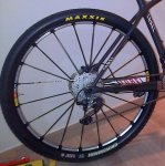 maxxis.jpg