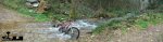 100_6279.JPG