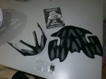 casco6.jpg