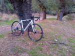 IMG-20131005-00589.jpg