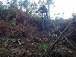 IMG-20140222-WA0018.jpg