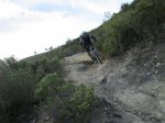 IMG_4687.JPG