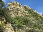 IMG_4705.JPG