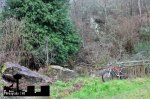 DSC_0044.JPG