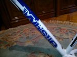 WP_002280.jpg