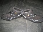 img6466t.jpg