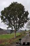 DSC_0052.JPG