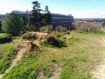 IMG_20140226_132330 (Copiar).jpg