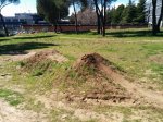 IMG_20140226_132654 (Copiar).jpg