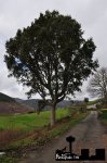 DSC_0051.JPG