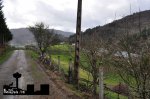 DSC_0050.JPG