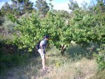 DSCN0269.jpg