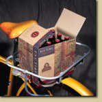 Easyrider.jpg