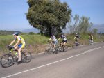DSC02787.jpg