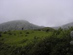 P1010039.jpg