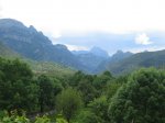 IMG_7930.JPG