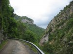 IMG_7940.JPG