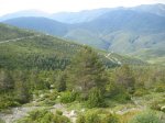 IMG_7960.JPG