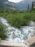 IMG_8000.JPG