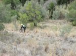 IMG_4767.JPG