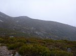 P1010653.jpg