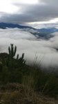 IMG-20140302-WA0001.jpg