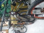 DSC00219.jpg