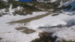1891105_817059321654036_591901266_n.jpg