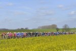kbk14_spring.jpg