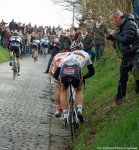 kbk14_120_greipel.jpg