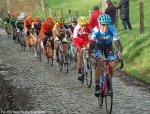 kbk14_136_bauer.jpg