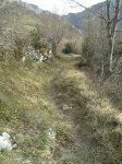 IMG-20140223-WA0013.jpg