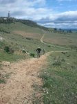 IMG-20140302-WA0007.jpg