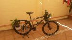 20140306_132127.jpg